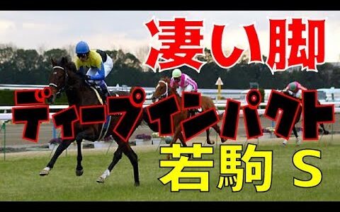 ディープの若駒を見たんだけど、こんなのに勝てる馬なんているの？