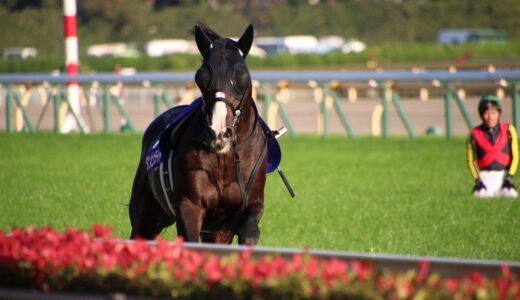 ダンビュライト、25日付で競走馬登録を抹消…今後は岡山県真庭市の蒜山ホースパークで乗馬となる予定