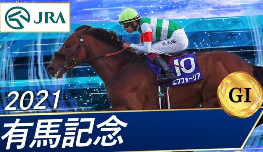 去年の有馬記念ってめちゃくちゃ低レベルだったんじゃないの？