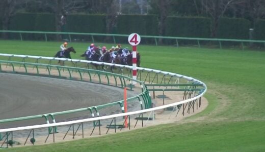 競馬って昔は馬の力が「７」で騎手の力が「３」て言われてたけど、今は馬「９」で騎手「１」じゃね？