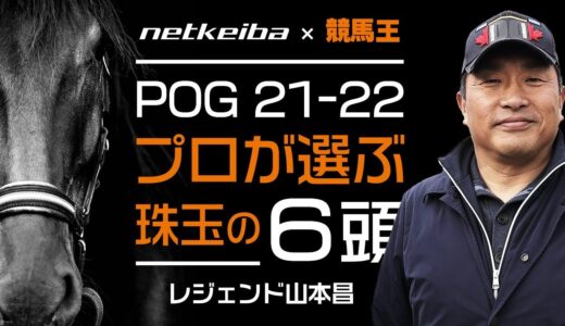 コマンドライン、コリエンテス、サンセットクラウド、ウィズグレイス←こいつら