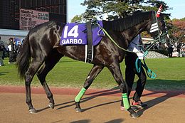 今この瞬間、ふっと思い浮かんだ懐かしい馬