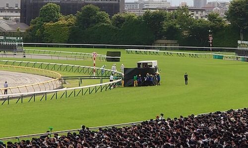 スキルヴィング、急性心不全のためゴール入線後に息を引き取る