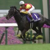 宝塚記念のジャスティンパレスの鞍上、鮫島克駿騎手に決定！