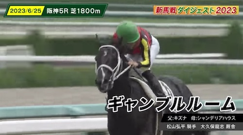 札幌2歳出走予定ギャンブルルーム、新馬戦ラップから弱いのに人気が確定している件