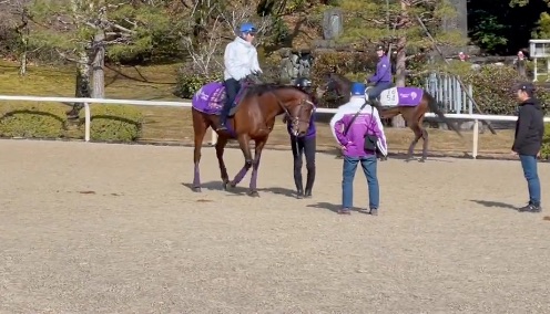 【ドバイ・ターフ】ドウデュースが武豊騎手騎乗で猛時計!「今年、この馬にかけるところは大きい」
