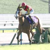 ルメール、今年のG1勝利騎手バラバラの法則をぶっ壊す